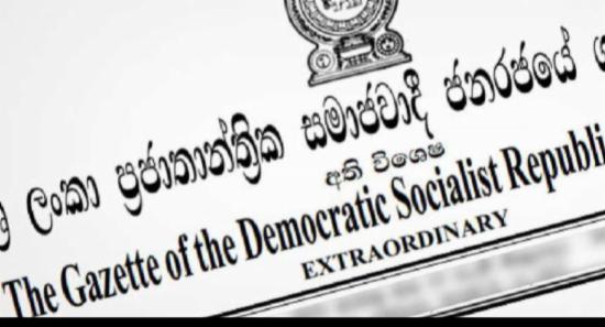 Archaeological Advisory Committee Appointed